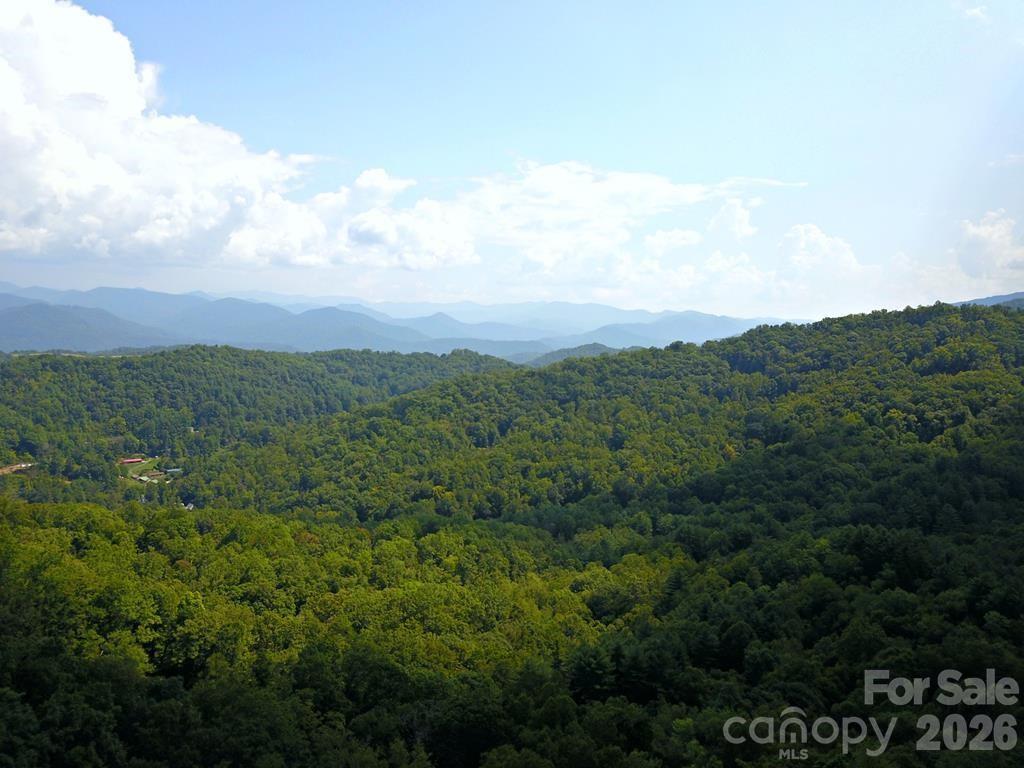 0 Mountain Forest Estates Road Property Photo 1