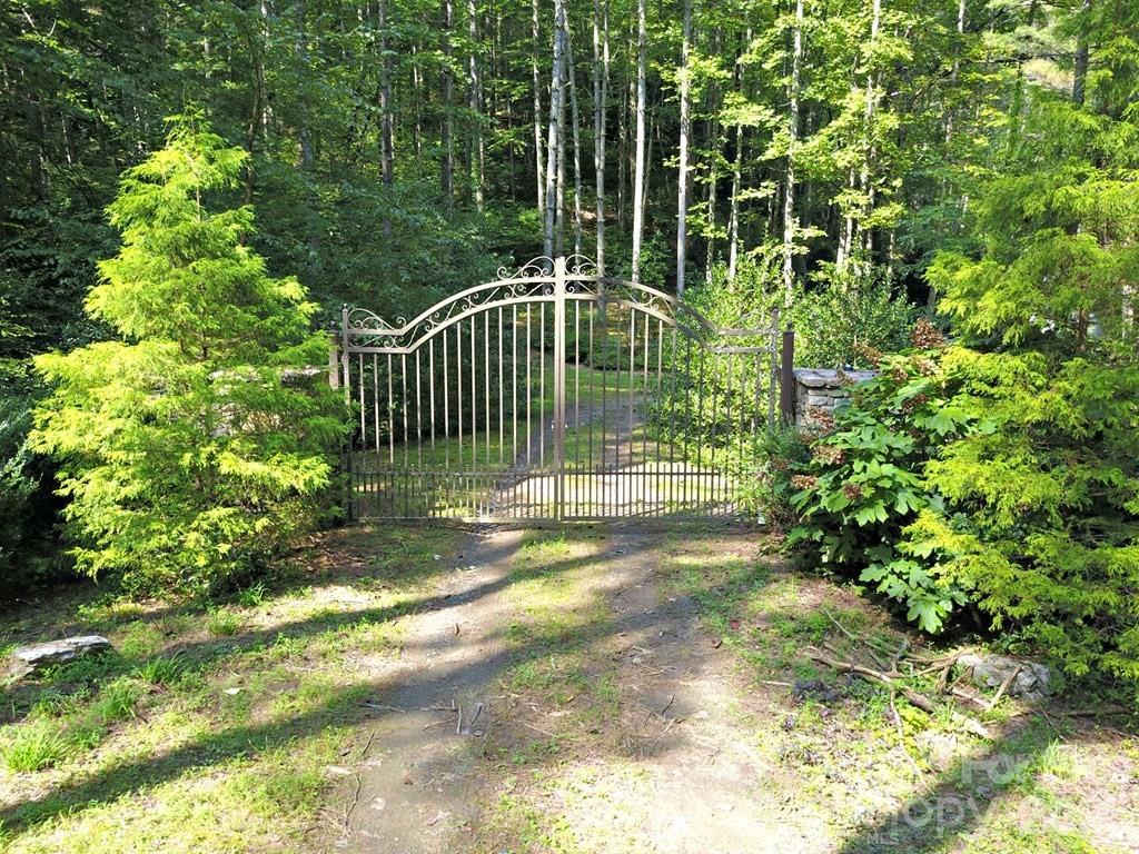 0 Mountain Forest Estates Road Property Photo 2