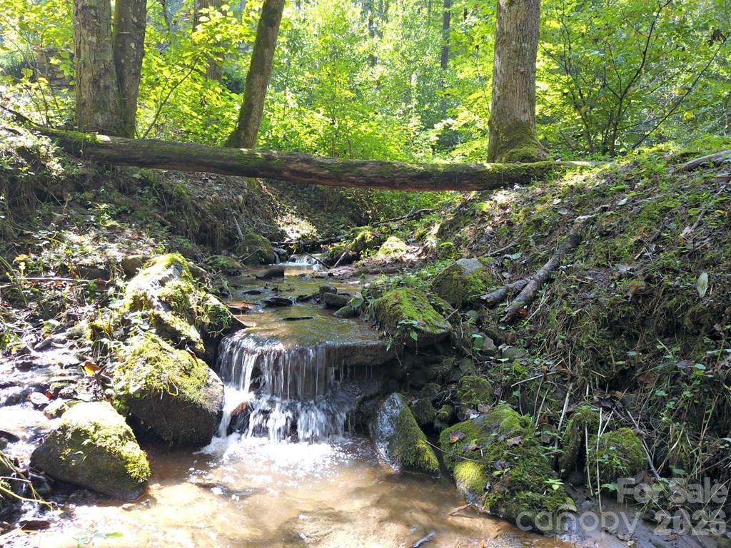 0 Mountain Forest Estates Road Property Photo 3