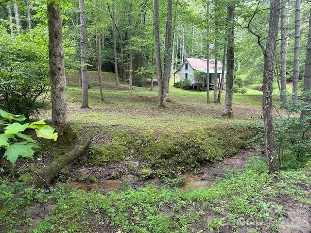 0 Mountain Forest Estates Road Property Photo 4