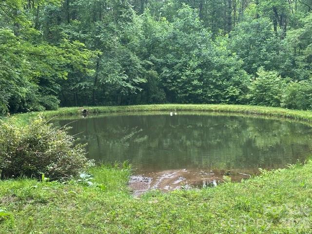 0 Mountain Forest Estates Road Property Photo 6