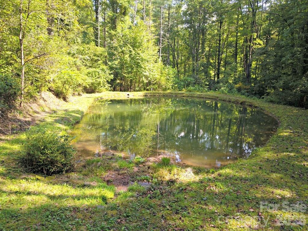 0 Mountain Forest Estates Road Property Photo 7