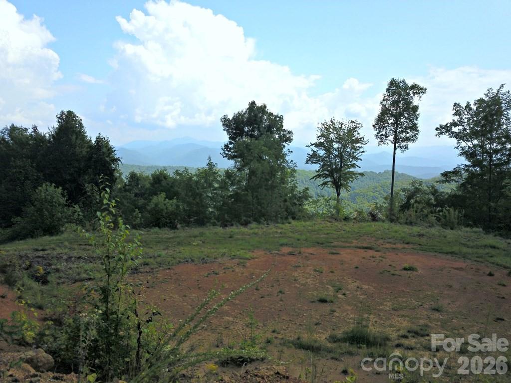 0 Mountain Forest Estates Road Property Photo 8