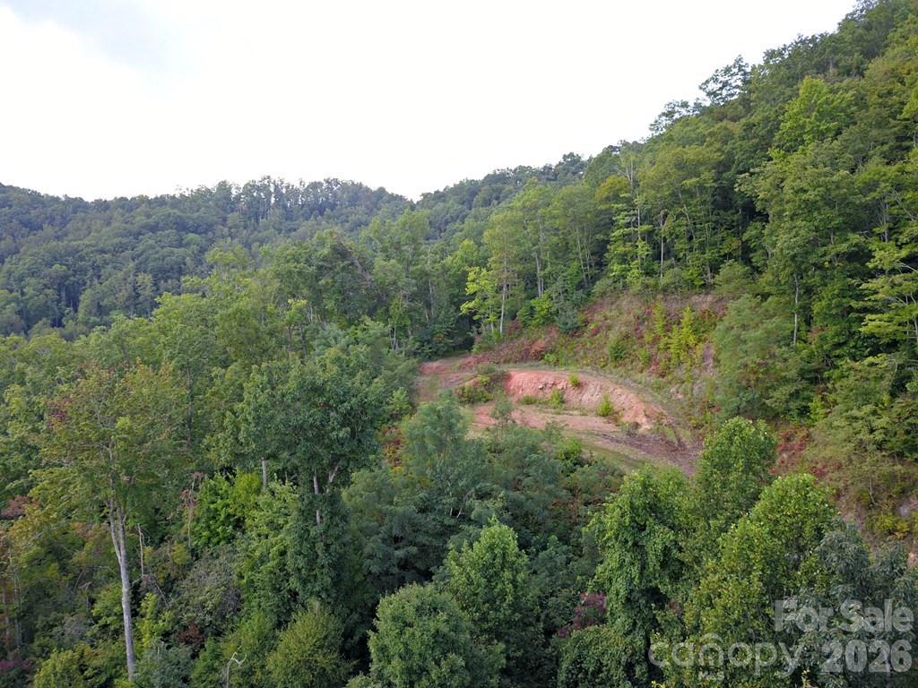 0 Mountain Forest Estates Road Property Photo 9