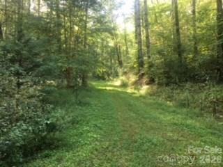 0 Mountain Forest Estates Road Property Photo 13