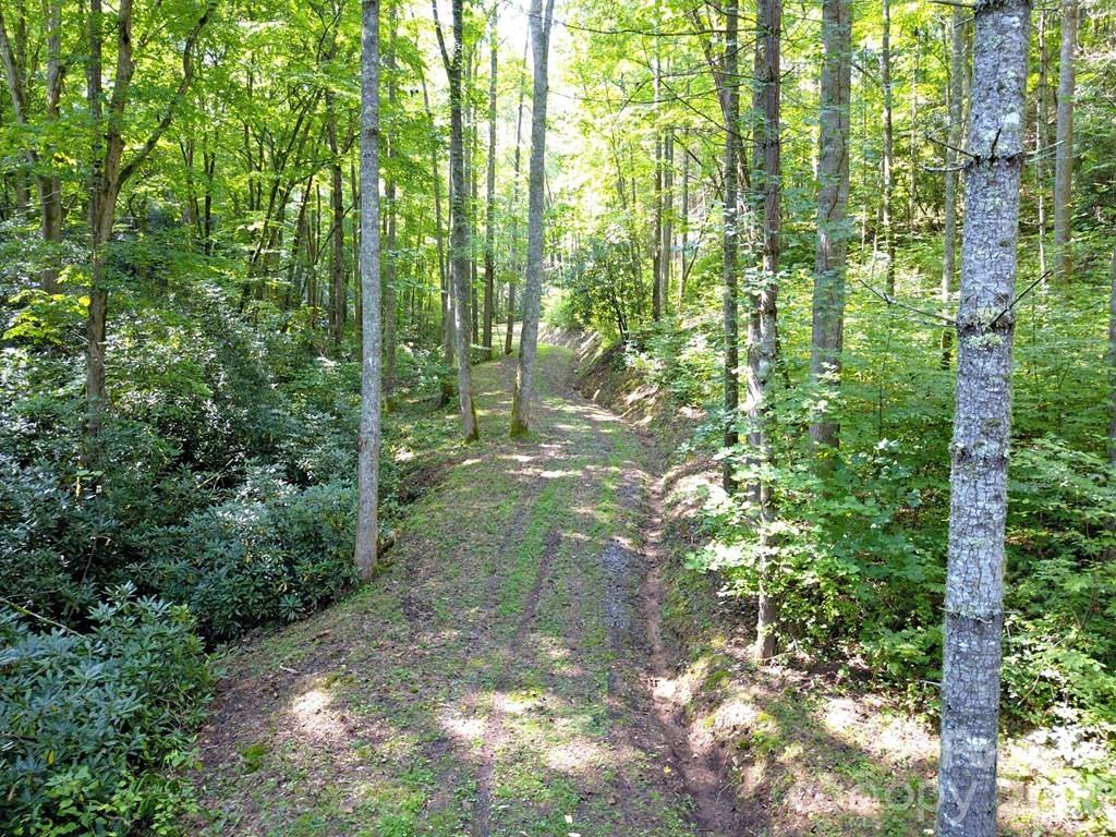 0 Mountain Forest Estates Road Property Photo 15