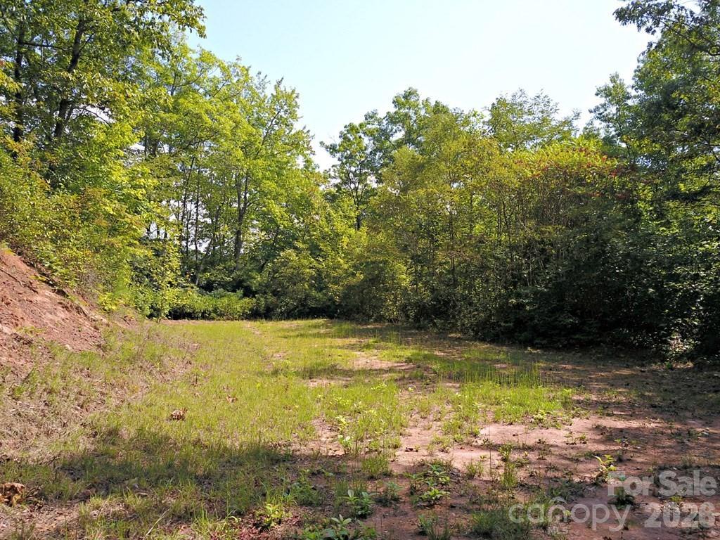 0 Mountain Forest Estates Road Property Photo 17