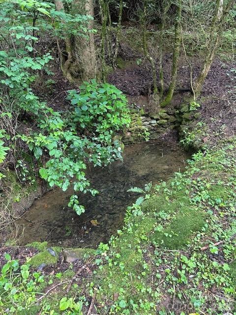 0 Mountain Forest Estates Road Property Photo 18