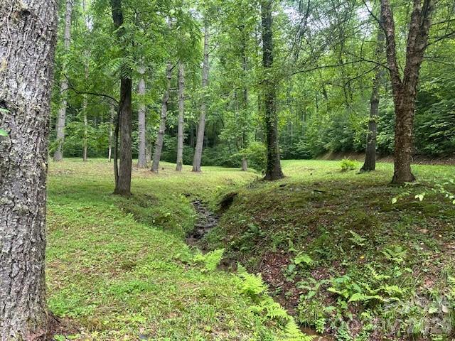 0 Mountain Forest Estates Road Property Photo 19
