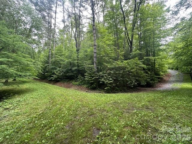0 Mountain Forest Estates Road Property Photo 20