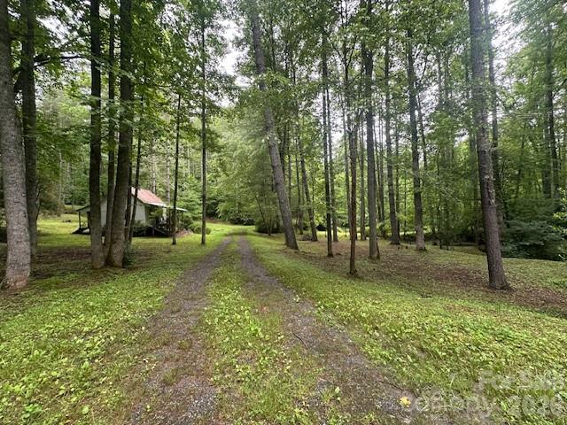 0 Mountain Forest Estates Road Property Photo 22