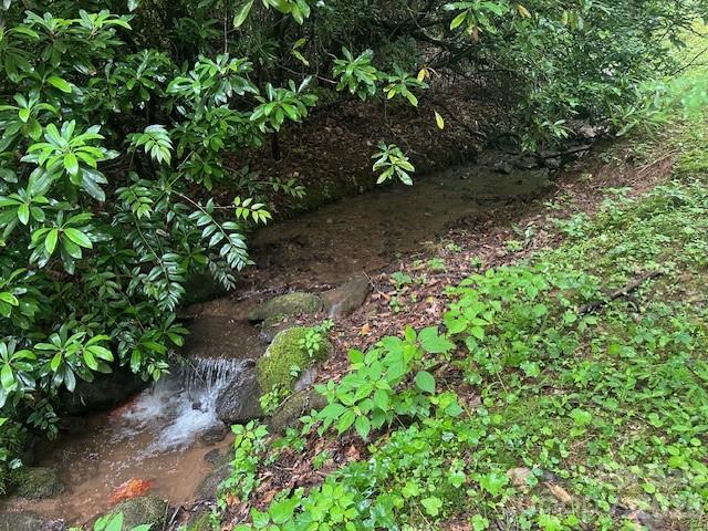 0 Mountain Forest Estates Road Property Photo 23