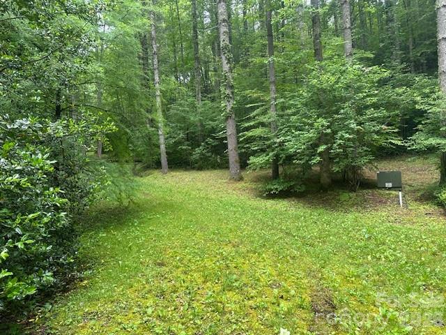 0 Mountain Forest Estates Road Property Photo 24