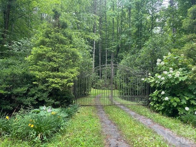 0 Mountain Forest Estates Road Property Photo 25