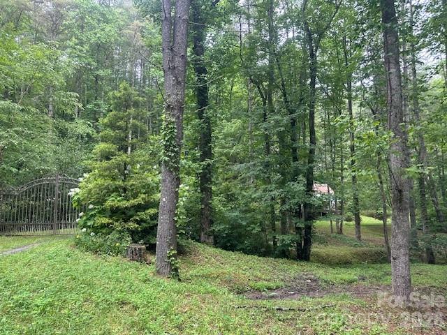 0 Mountain Forest Estates Road Property Photo 26
