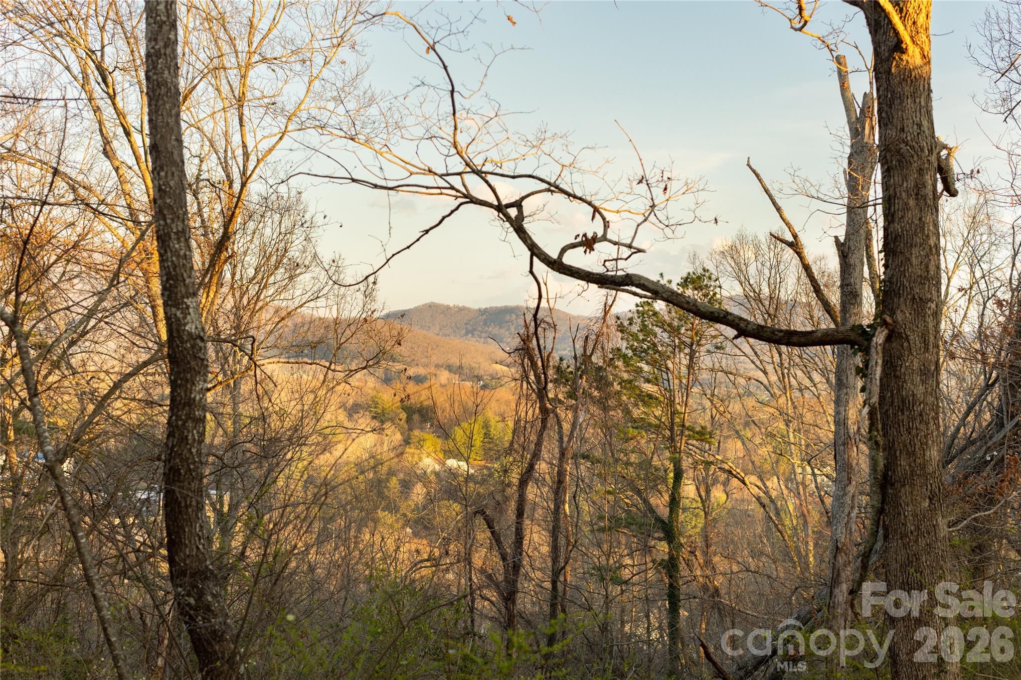 9999 Weaver Hill Road Property Photo 4
