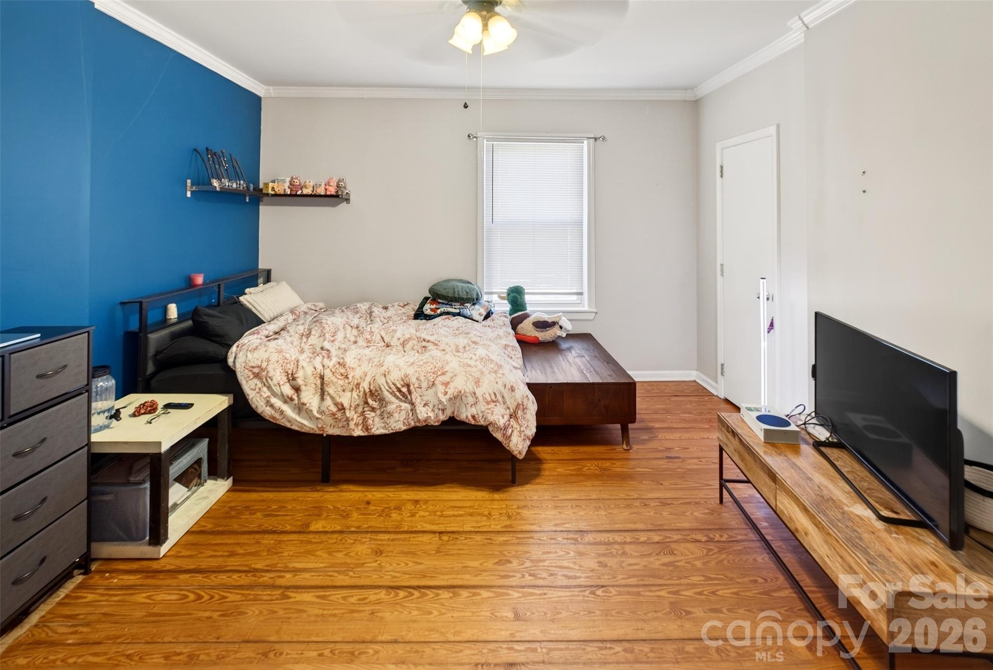 58 Burton Street Property Photo 10