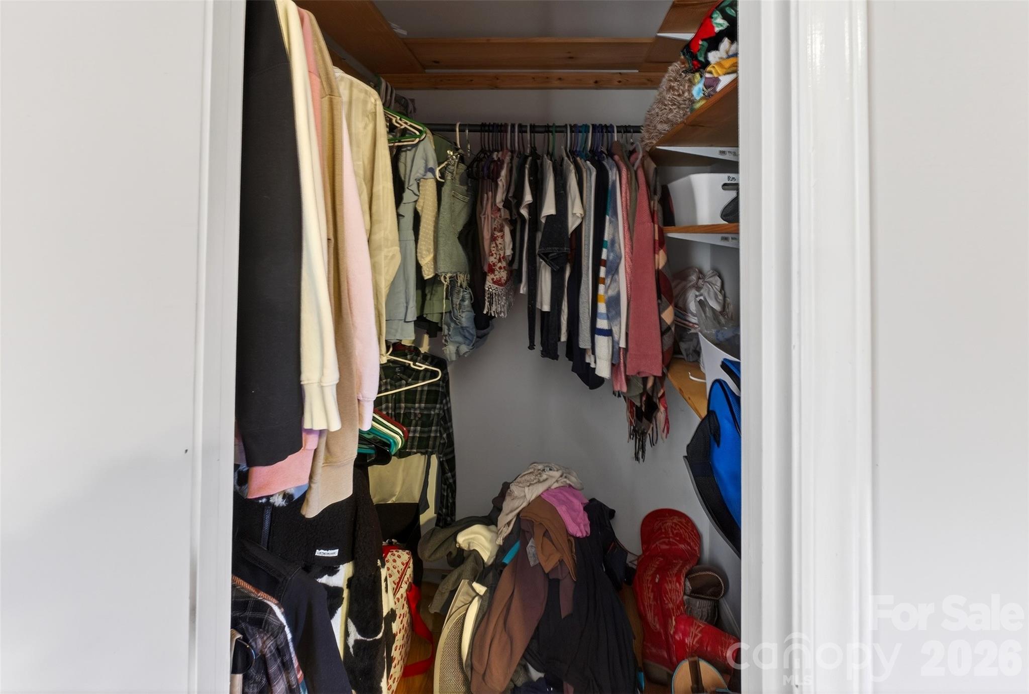 58 Burton Street Property Photo 12