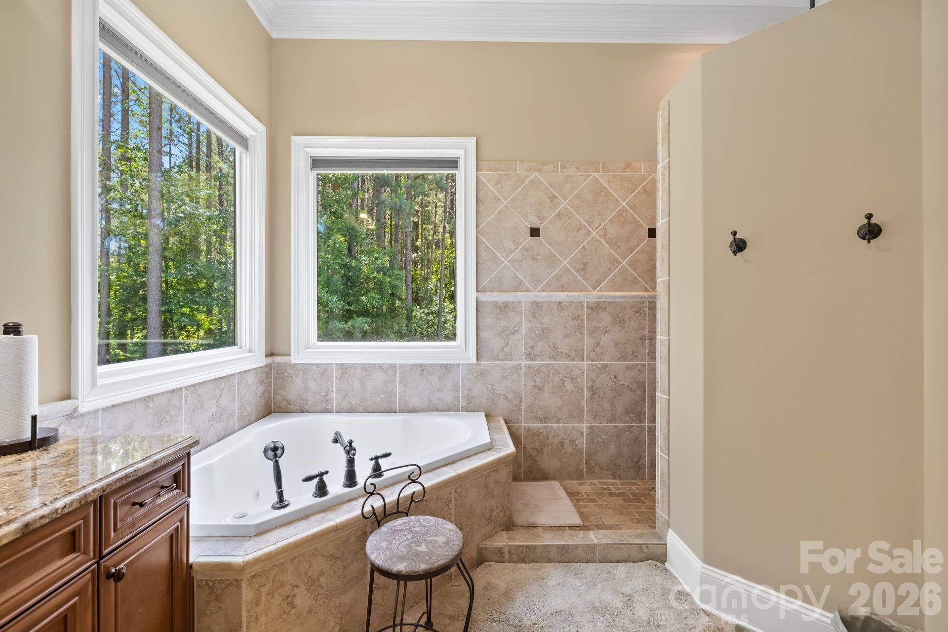 168 Blue Ridge Trail Property Photo 12