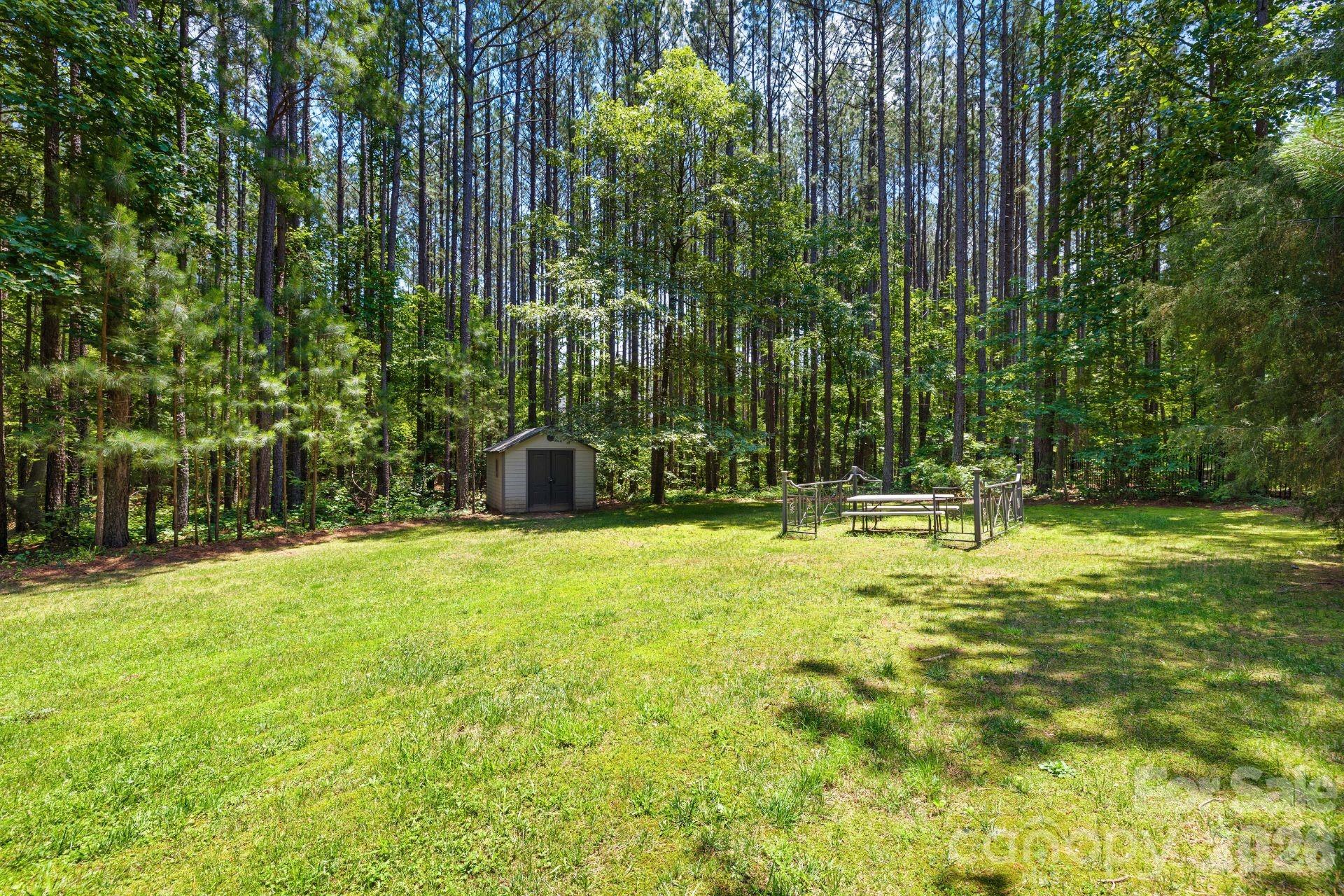 168 Blue Ridge Trail Property Photo 28