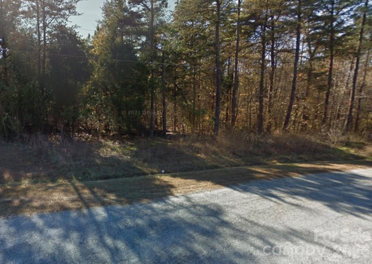 0 Summerville Drive Property Photo 2