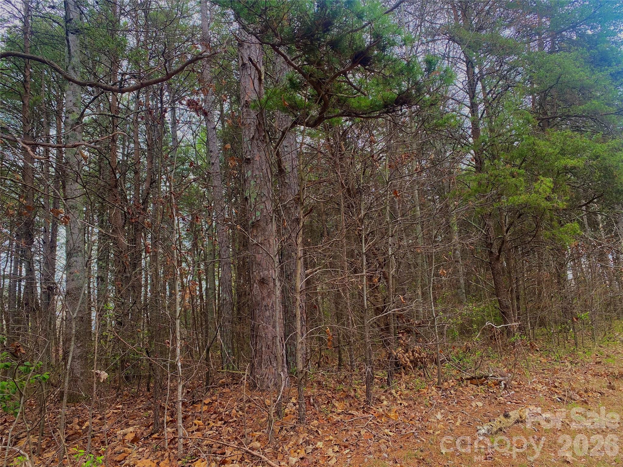 302 Lewis Ferry Road Property Photo 2