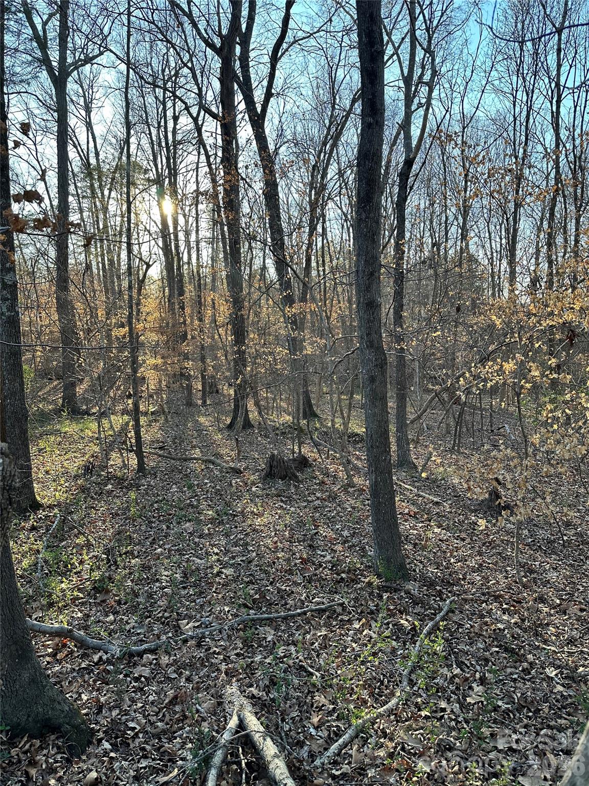 5835 Crayton Road Property Photo 1