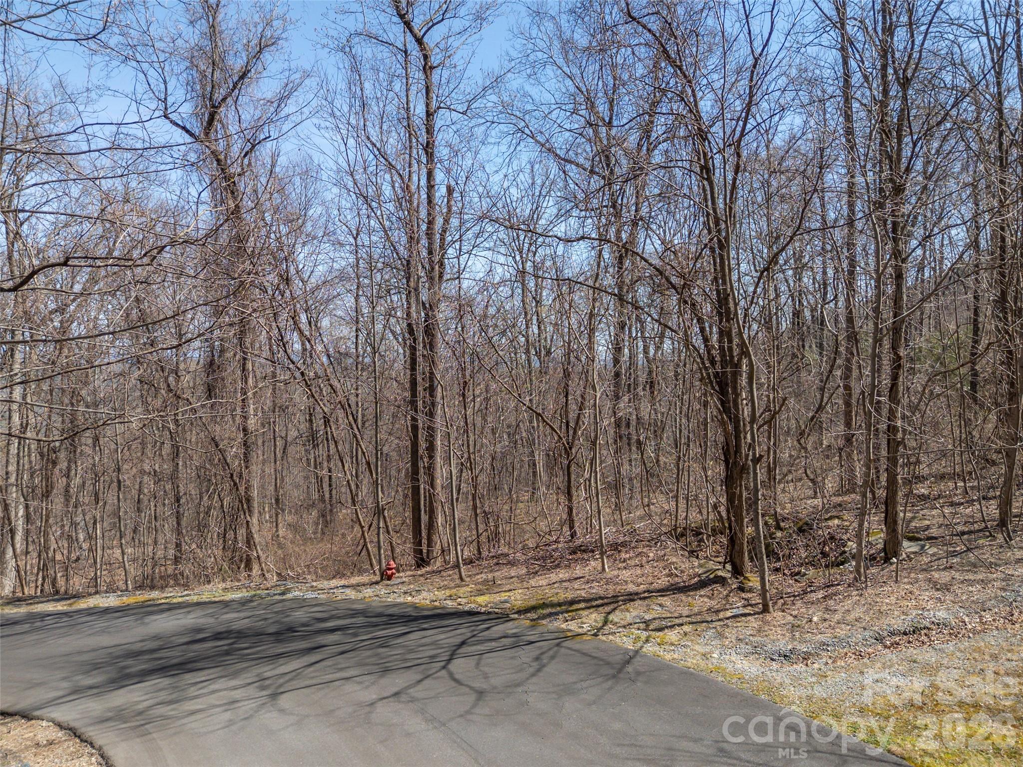 Lot 2130 Weaverly Lane Property Photo 4