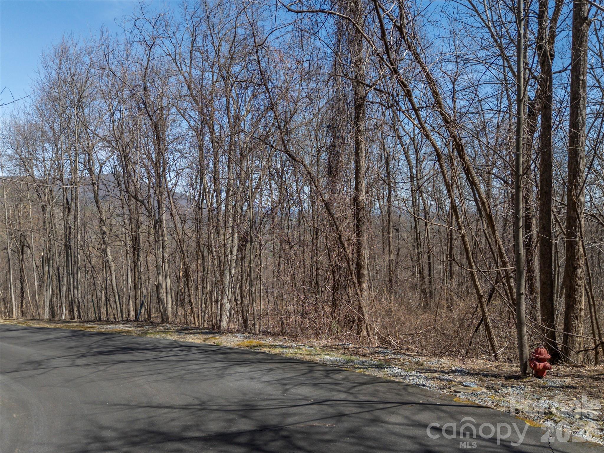 Lot 2130 Weaverly Lane Property Photo 6
