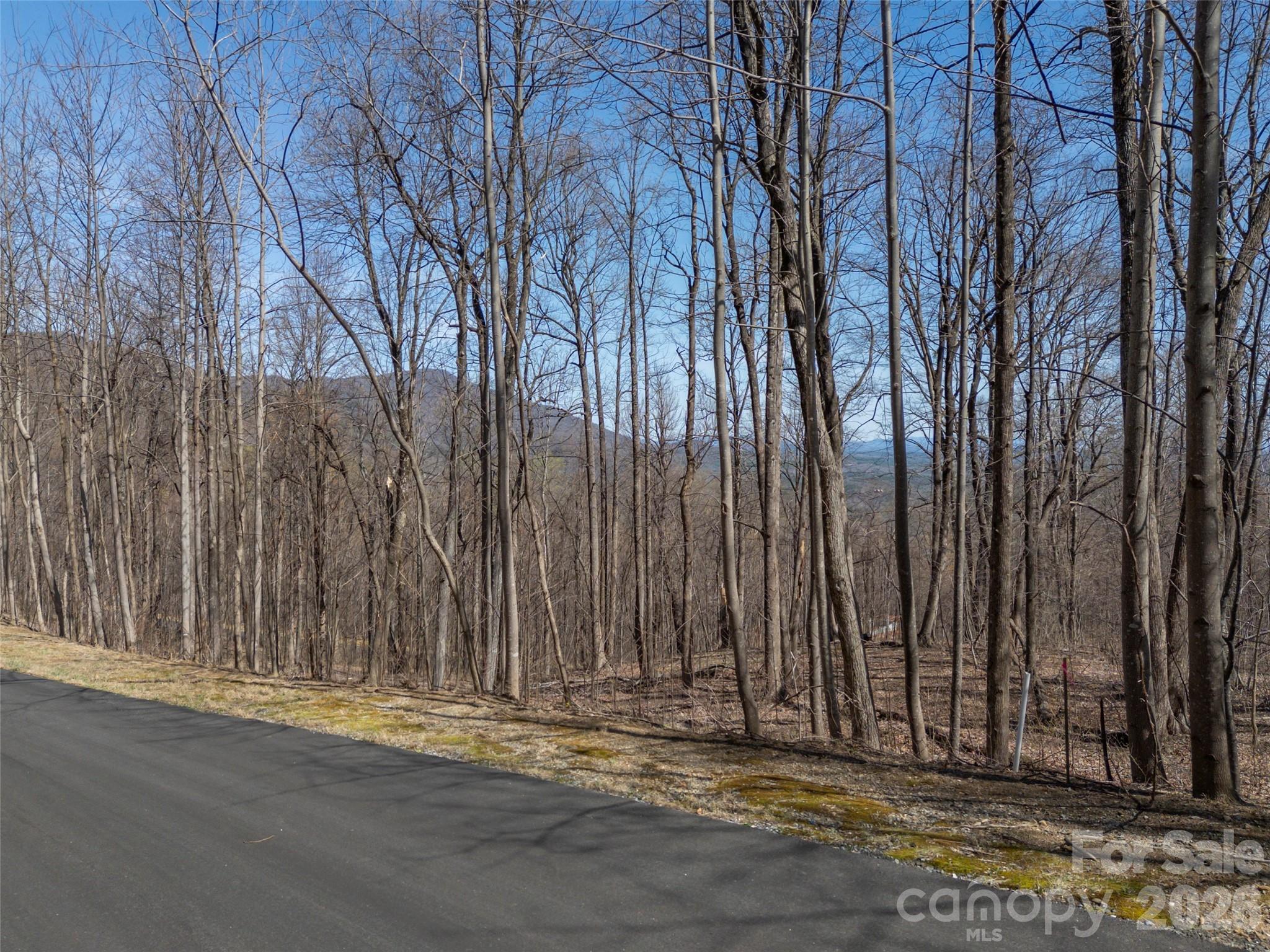 Lot 2130 Weaverly Lane Property Photo 9
