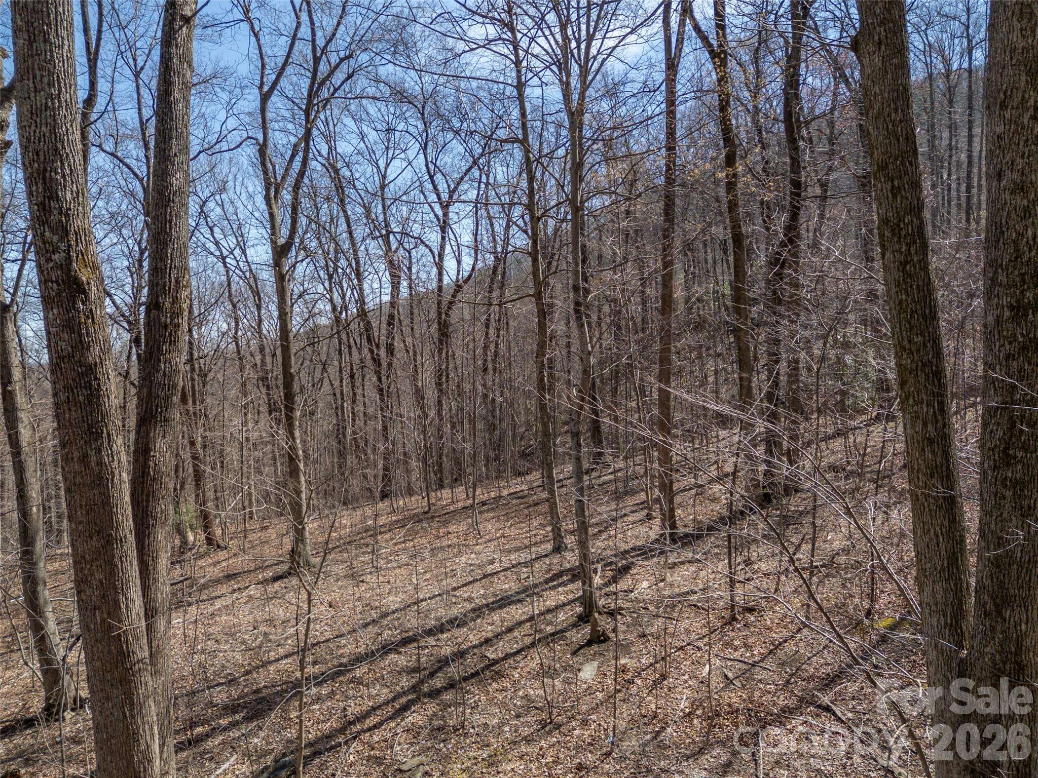 Lot 2130 Weaverly Lane Property Photo 10