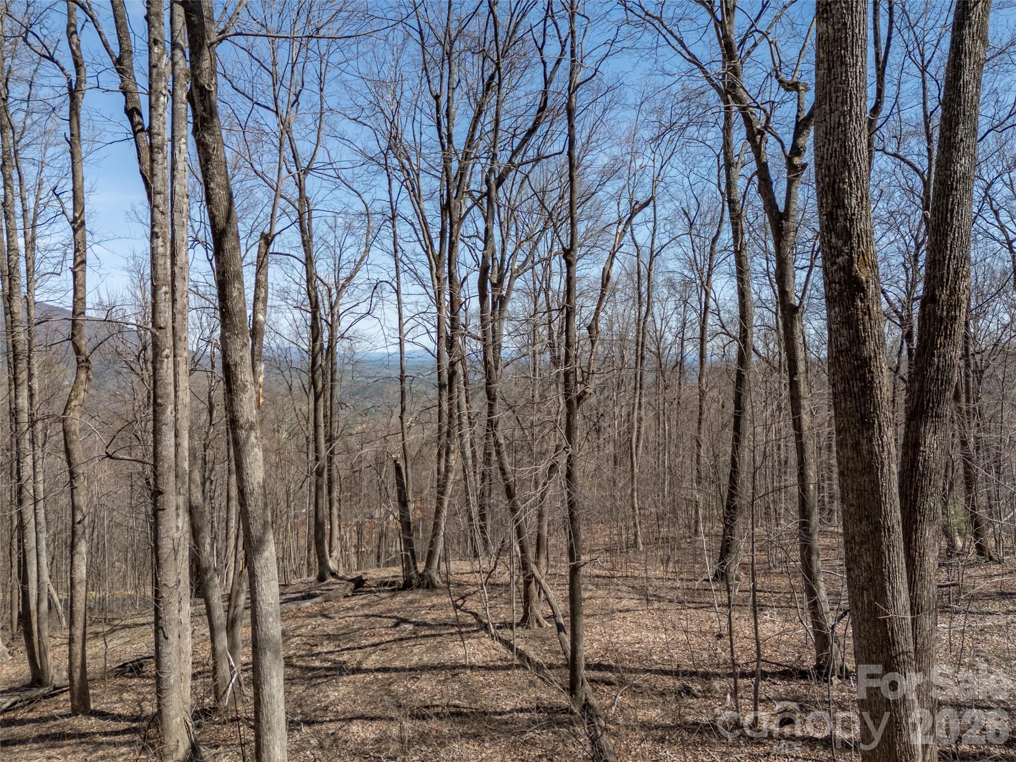 Lot 2130 Weaverly Lane Property Photo 11