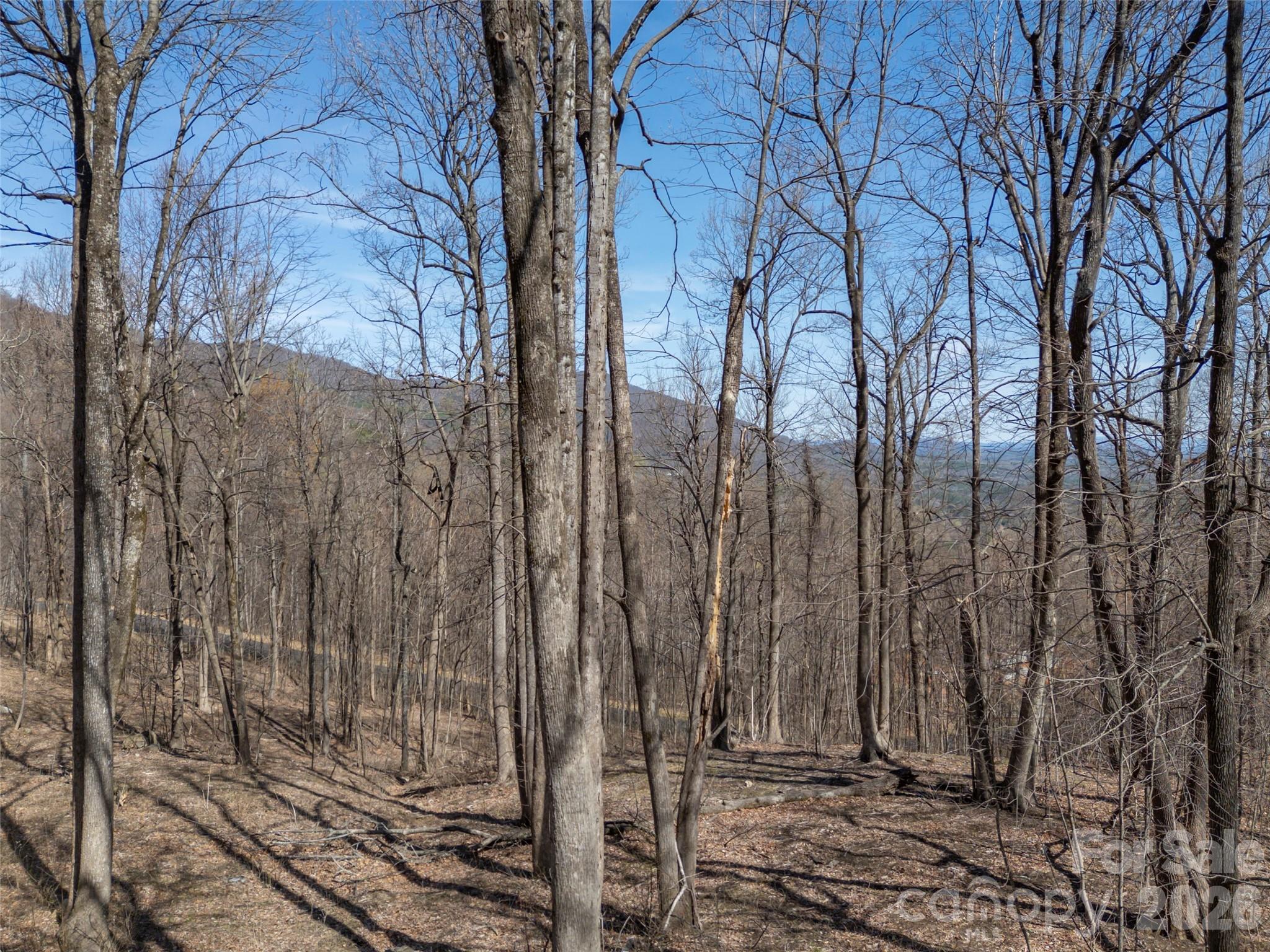 Lot 2130 Weaverly Lane Property Photo 12