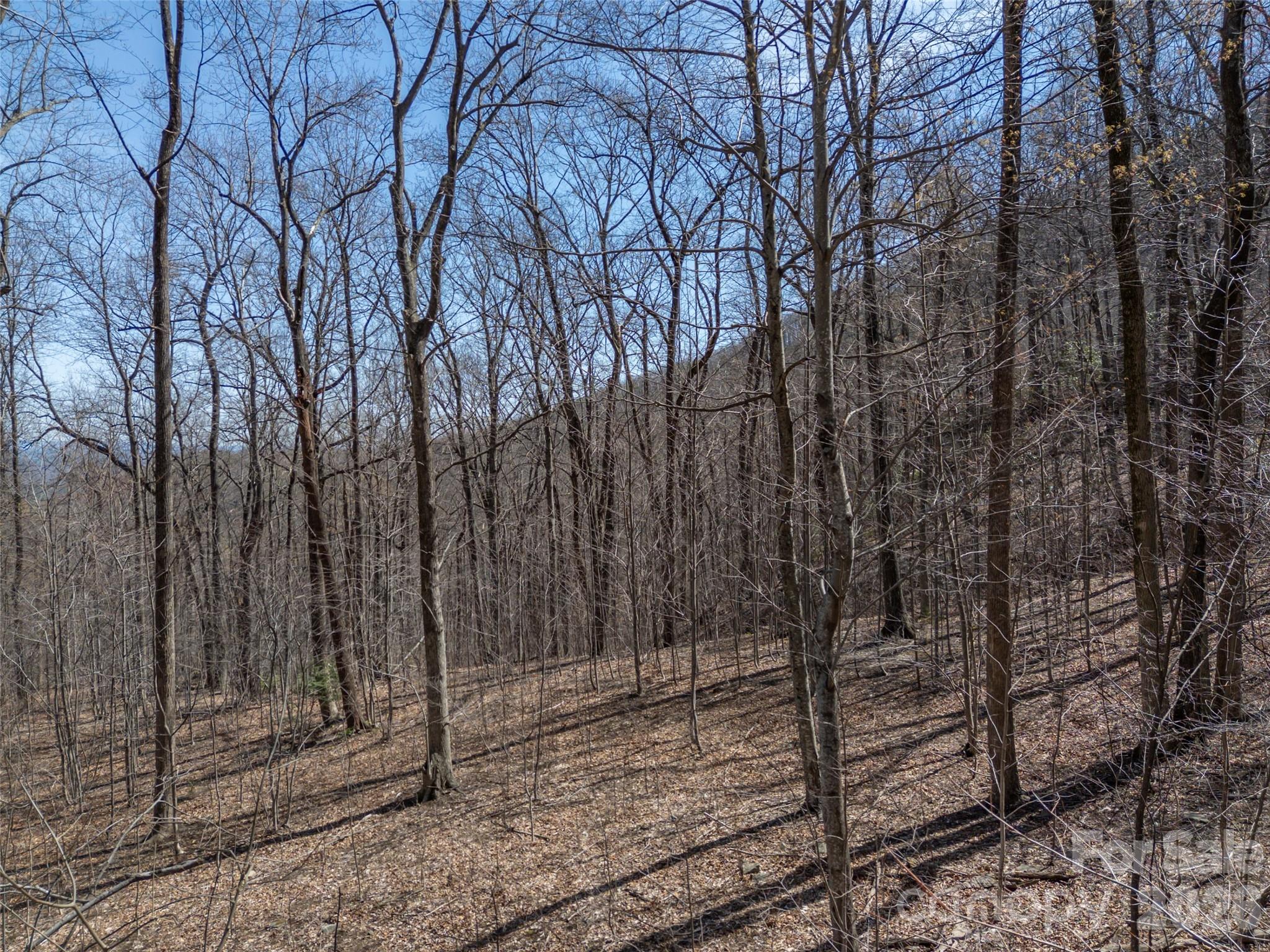 Lot 2130 Weaverly Lane Property Photo 13