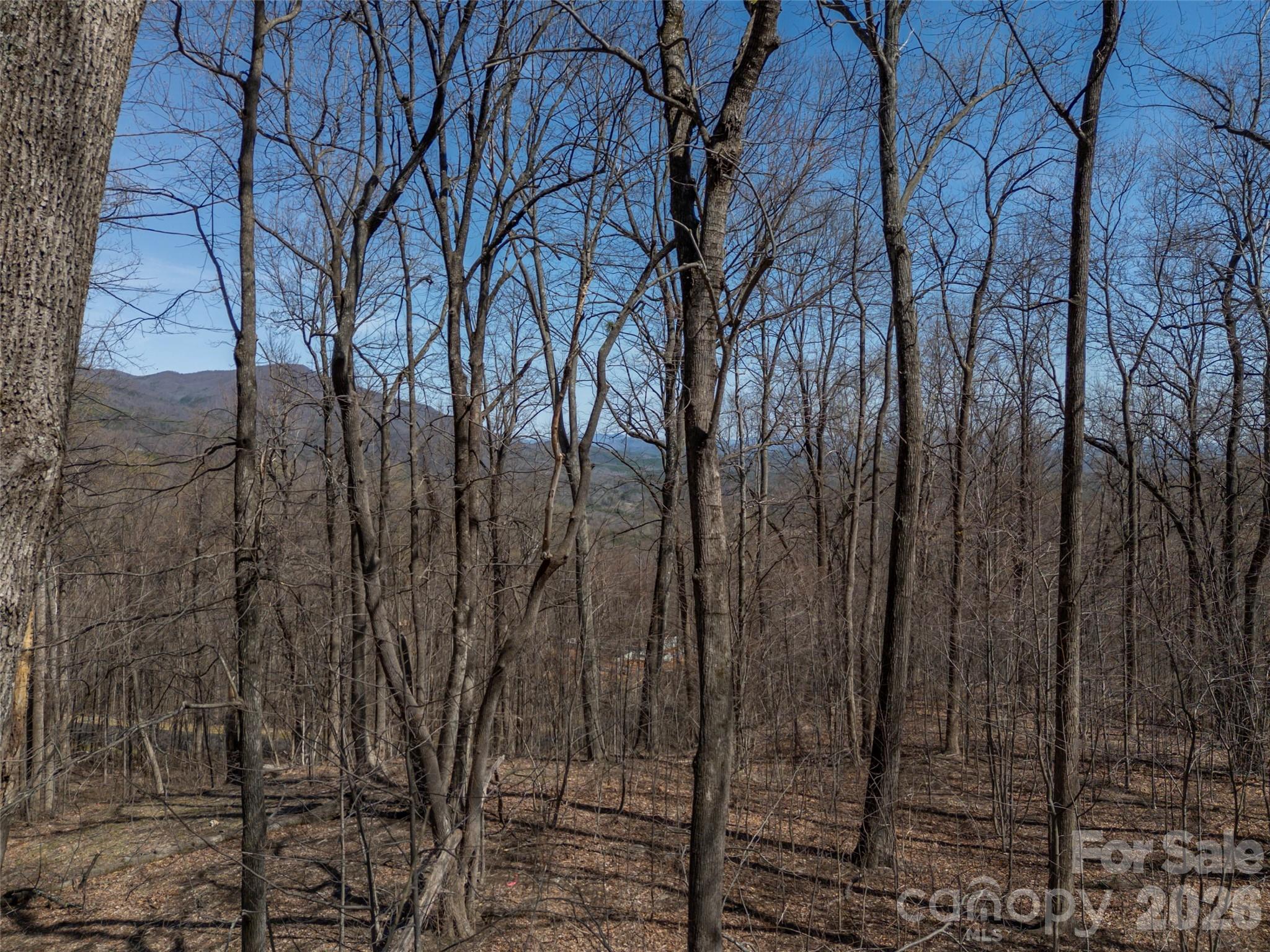 Lot 2130 Weaverly Lane Property Photo 14
