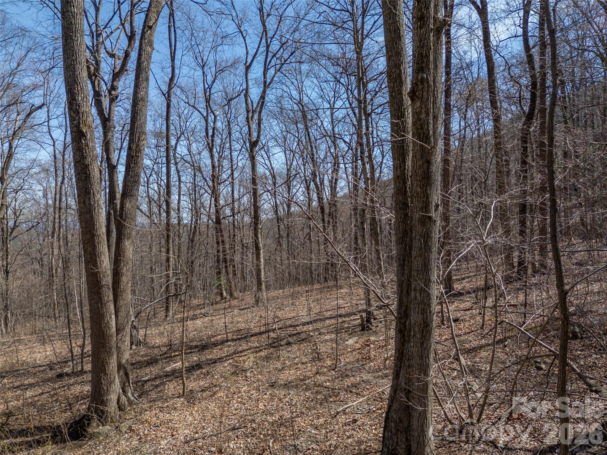 Lot 2130 Weaverly Lane Property Photo 15