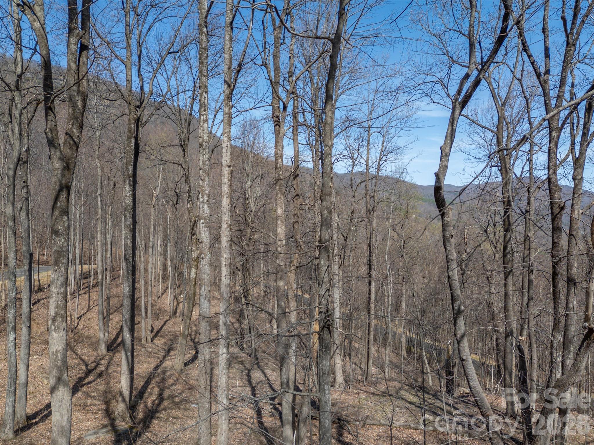 Lot 2130 Weaverly Lane Property Photo 16