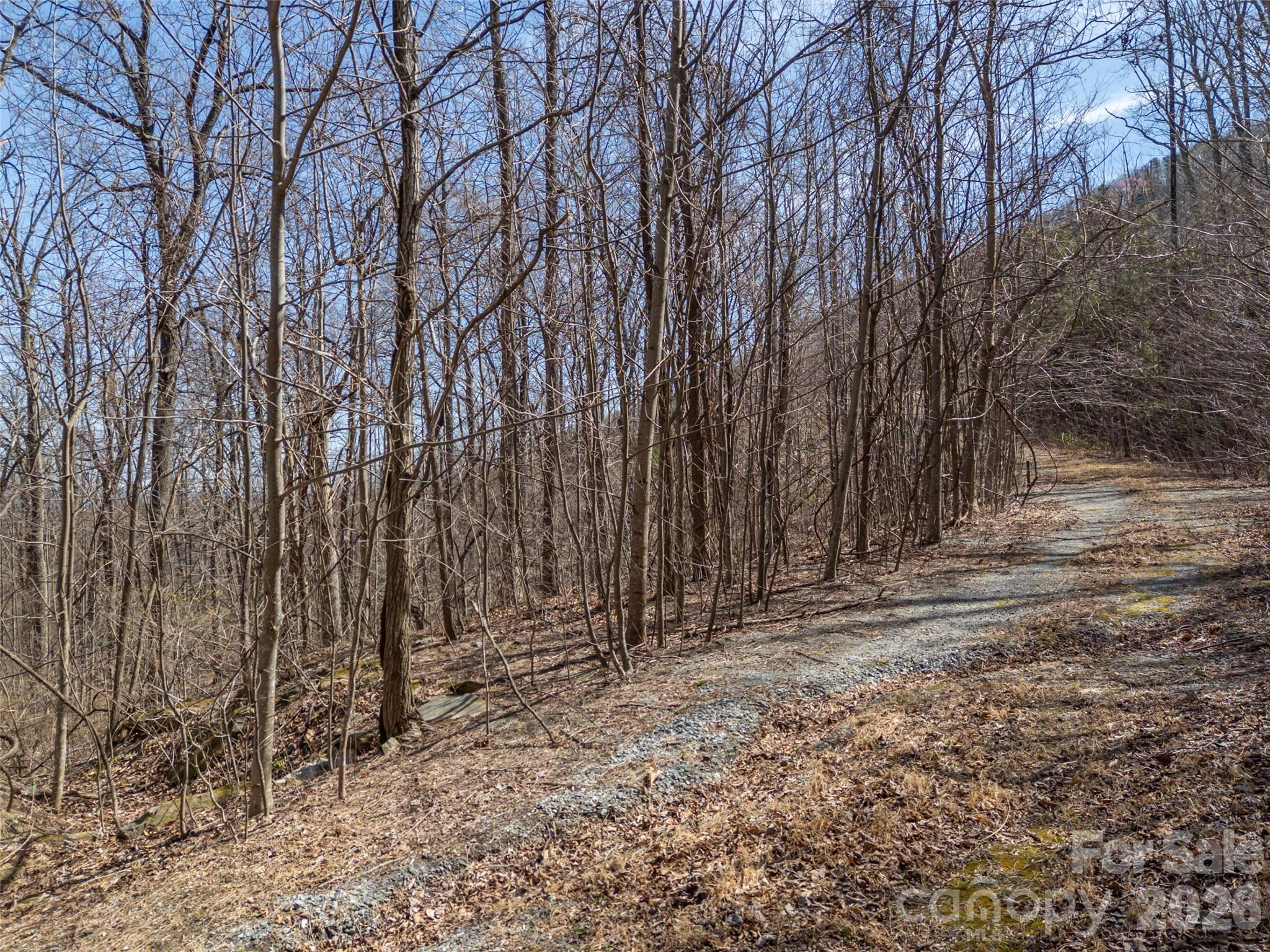 Lot 2130 Weaverly Lane Property Photo 22