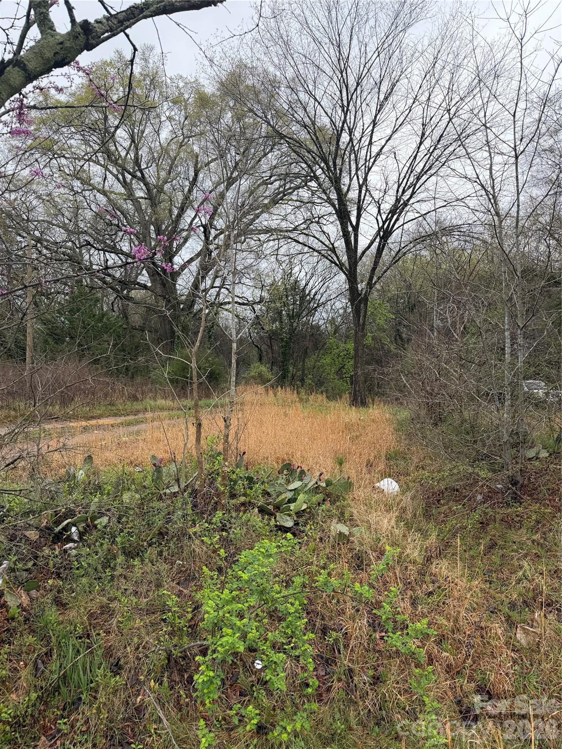 257 Hall Avenue Property Photo 3