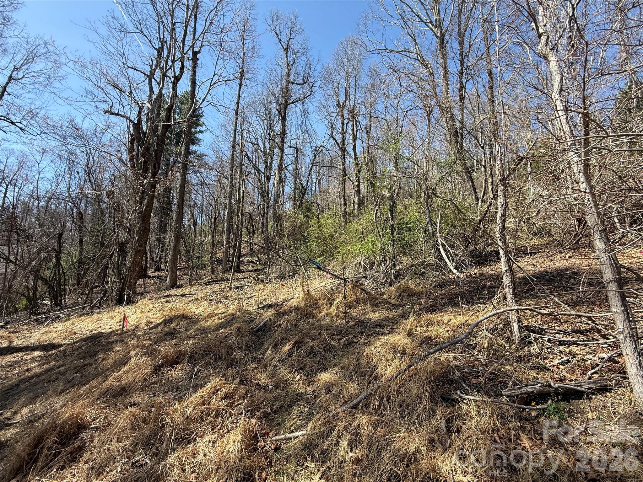 3 Fawn Turn Lane Property Photo 10
