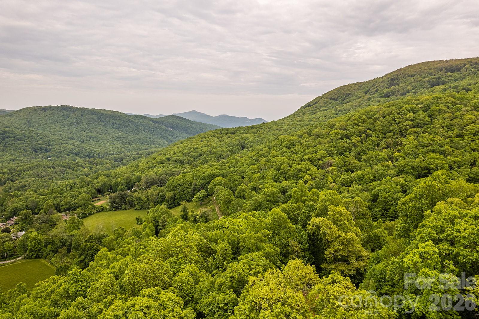 176 Mcguffey Ridge Road Property Photo 6