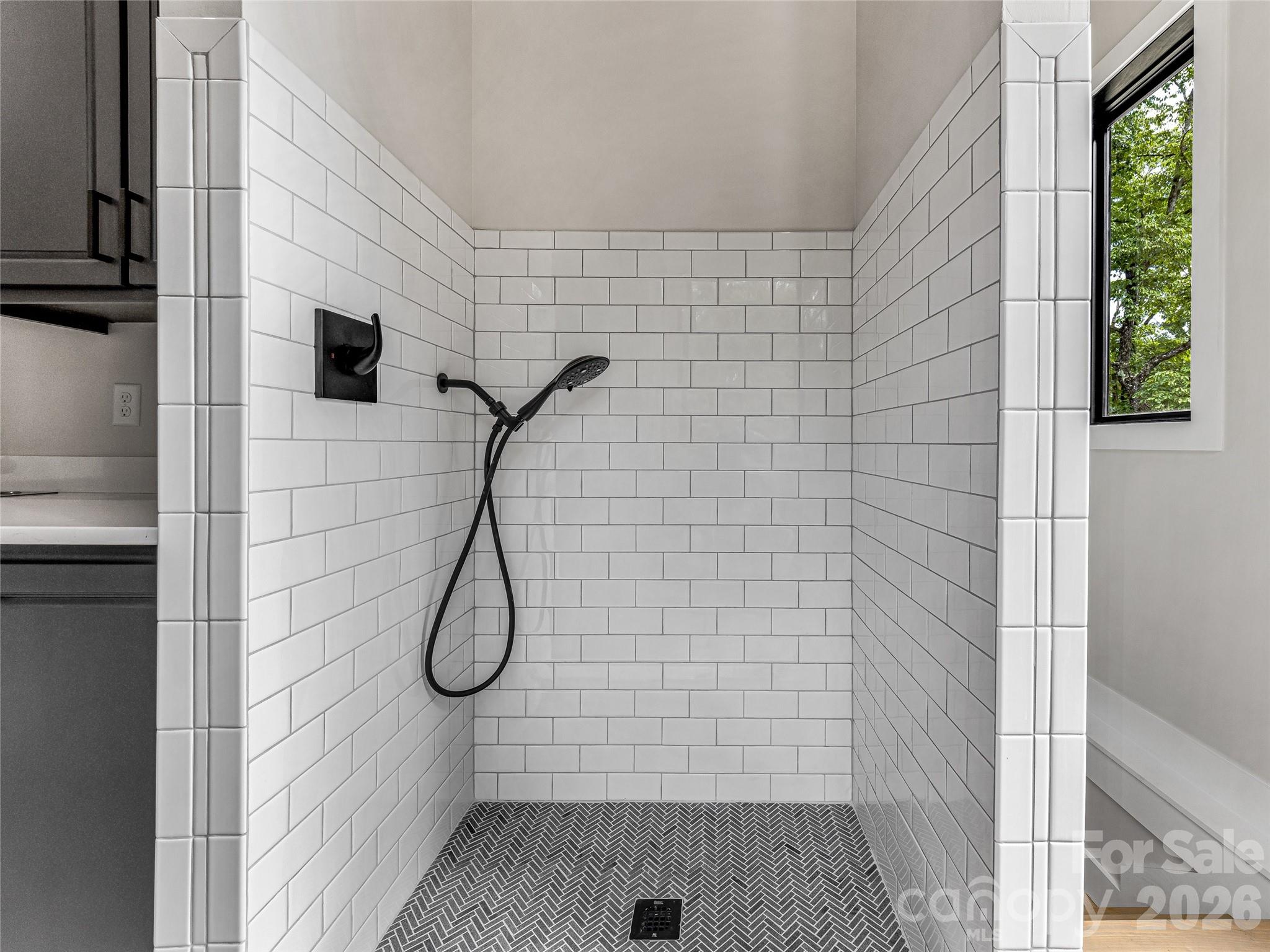 1180 West Lake Road Property Photo 16
