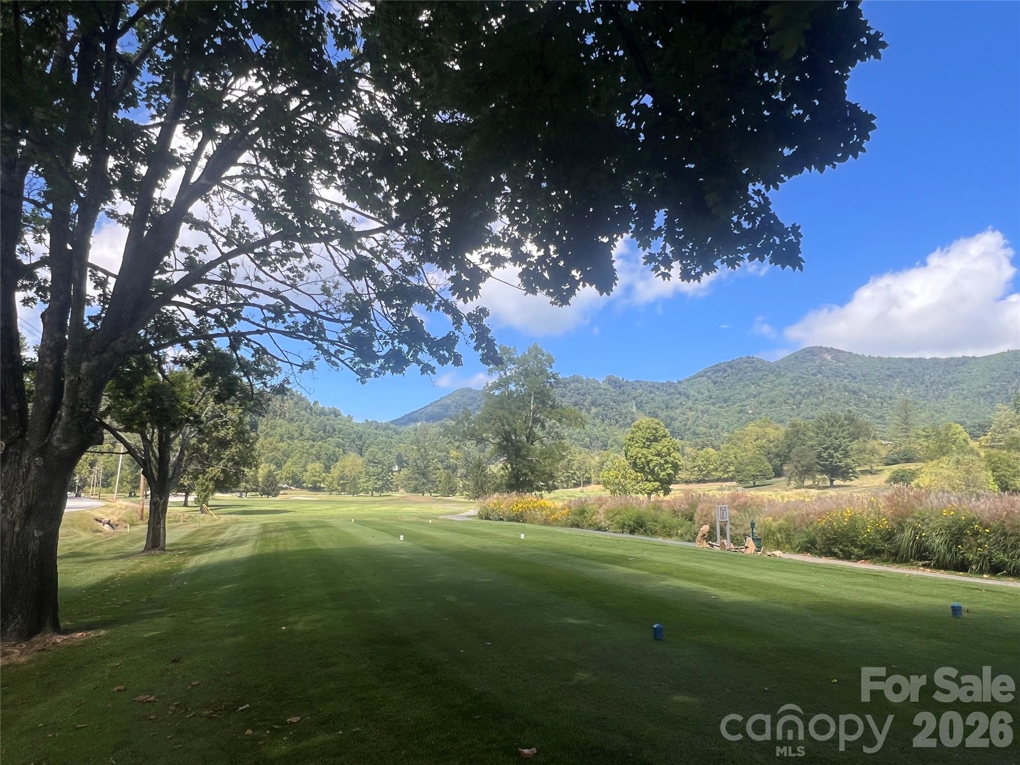 51 Bear Tree Cove Property Photo 8