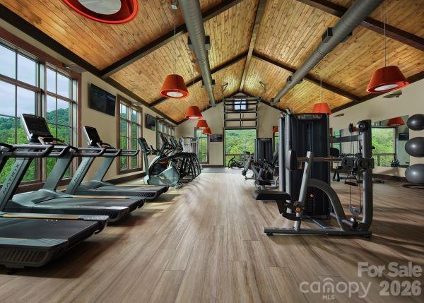 51 Bear Tree Cove Property Photo 10