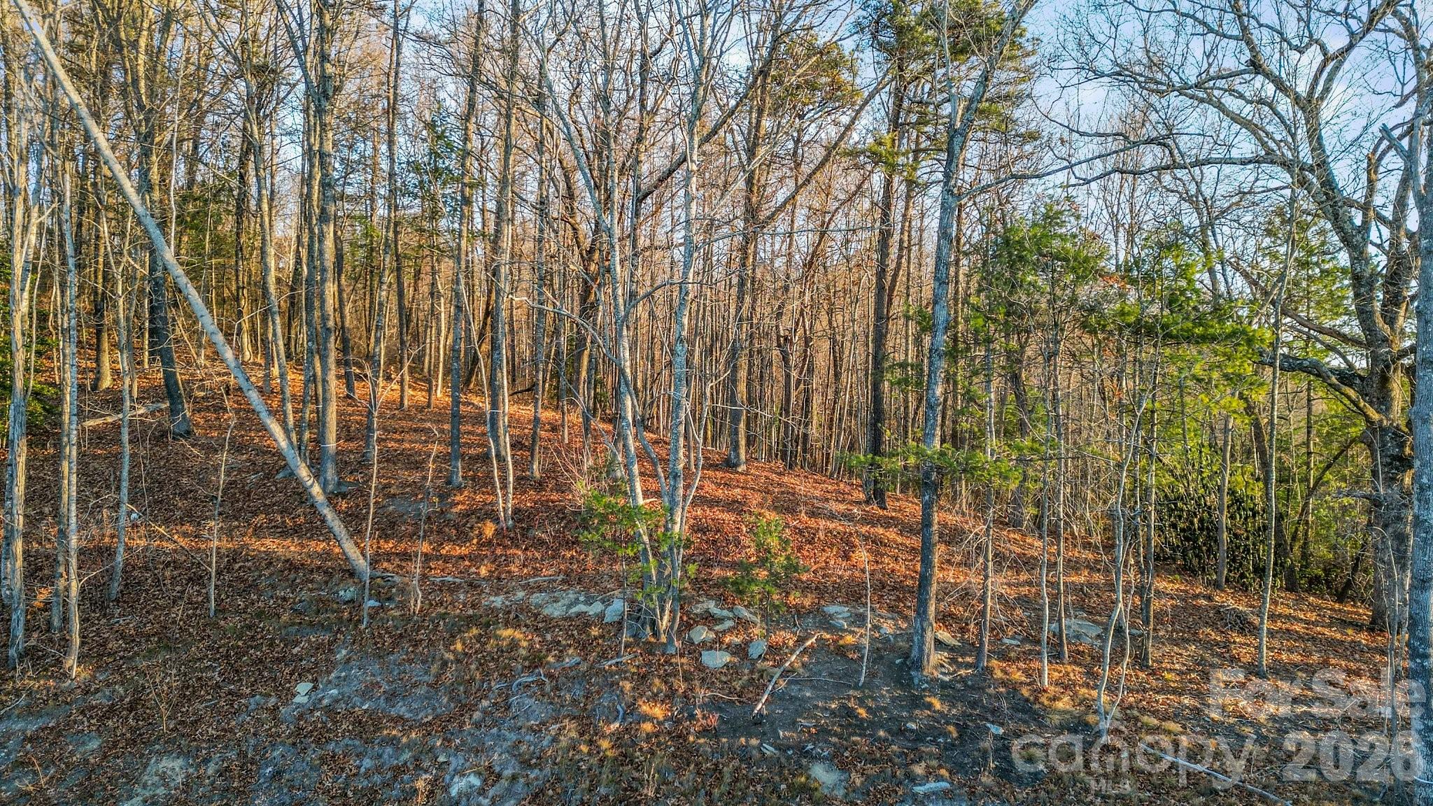 99 Spring Song Lane 9 Property Photo 3