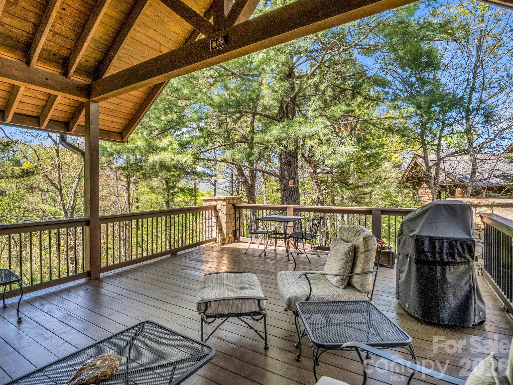 16 Panther Gap Road Property Photo 19