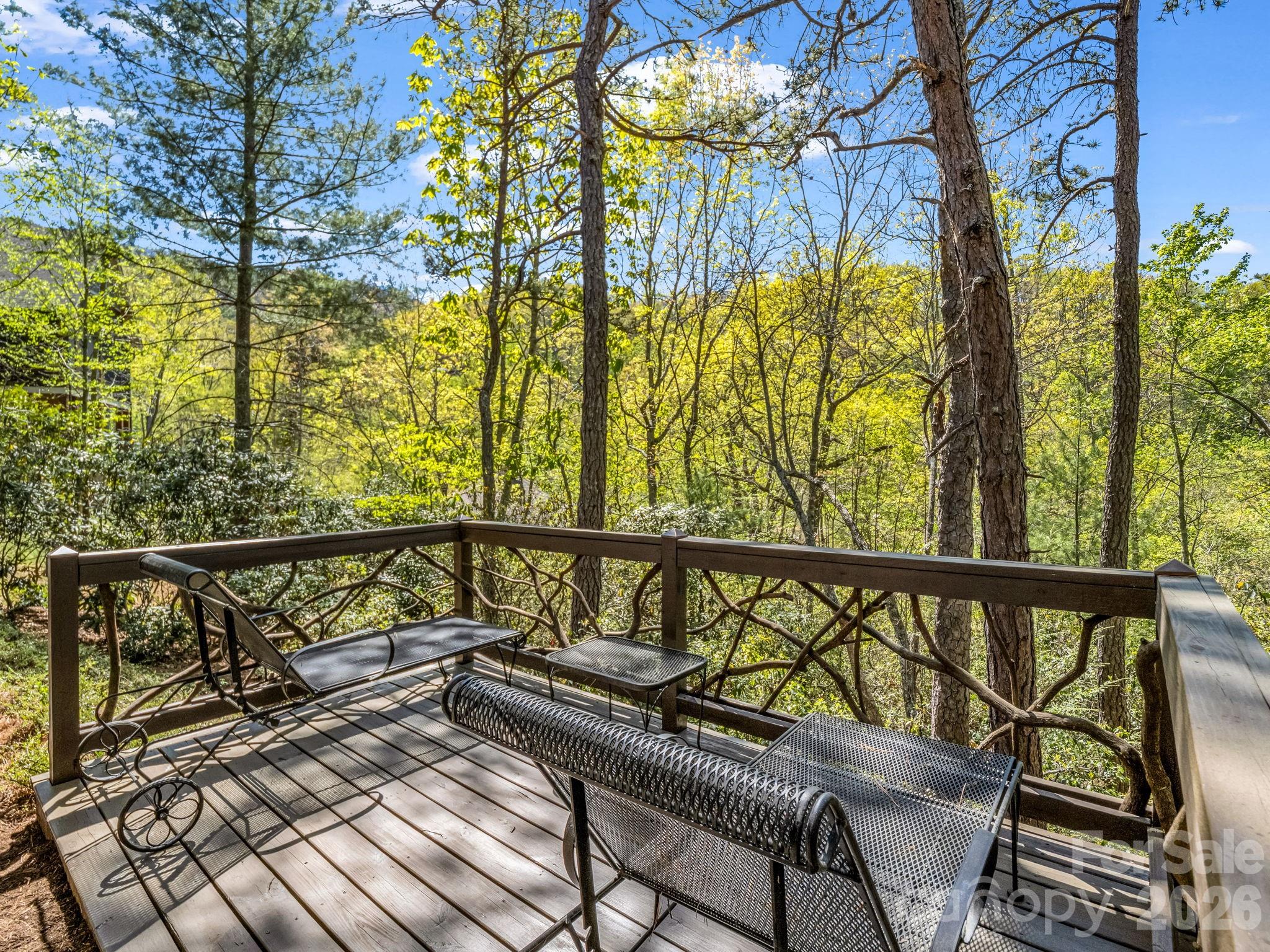 16 Panther Gap Road Property Photo 42