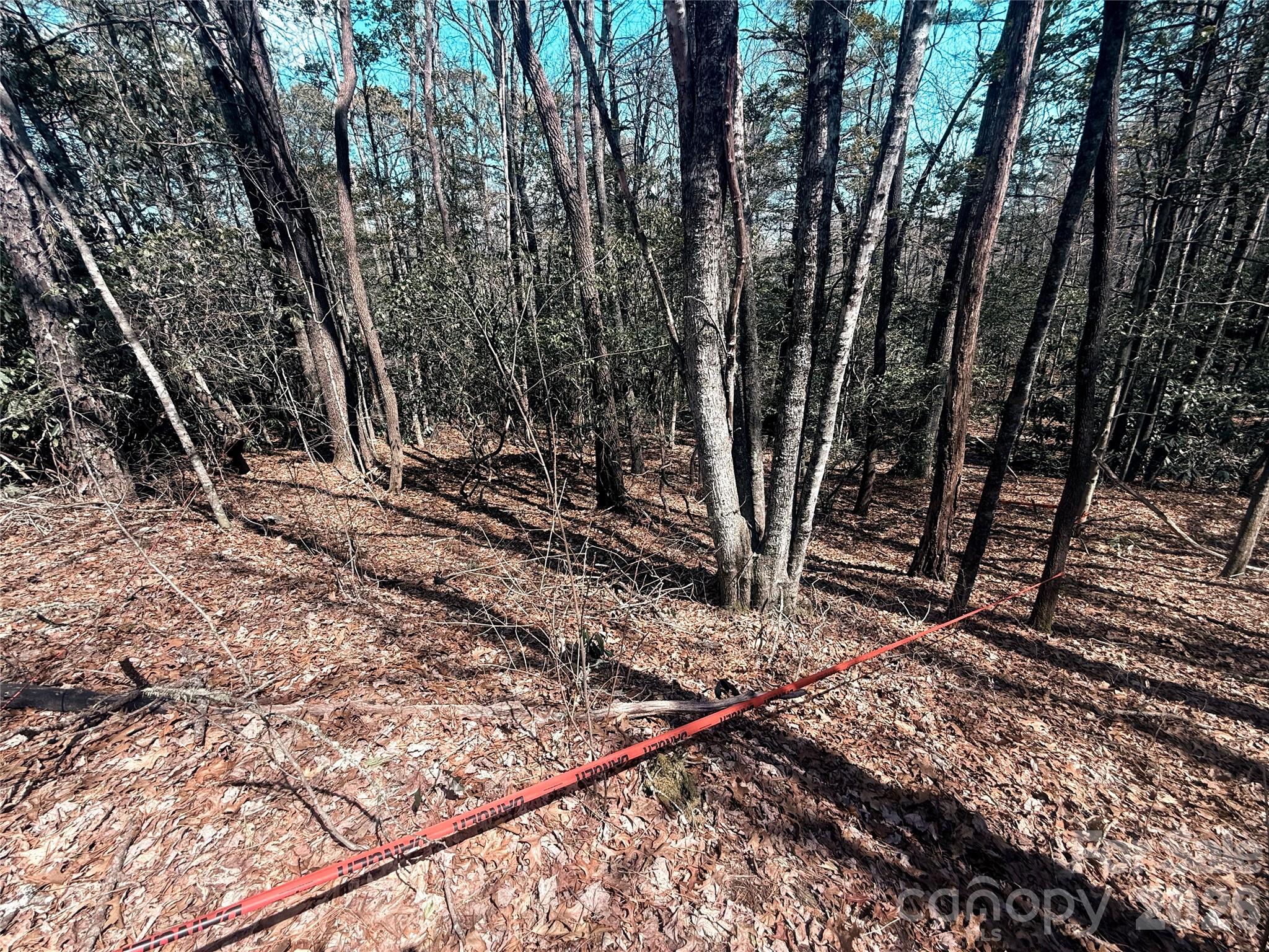 Tbd Minerva Lane Lots 79,80,84 Property Photo 1