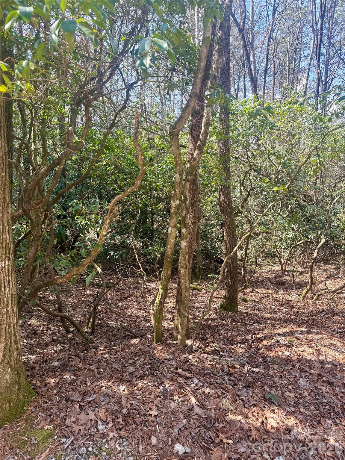 Tbd Minerva Lane Lots 79,80,84 Property Photo 2