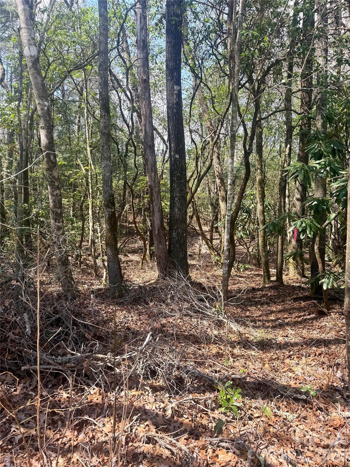 Tbd Minerva Lane Lots 79,80,84 Property Photo 3